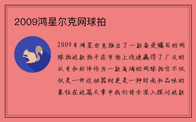 2009鸿星尔克网球拍