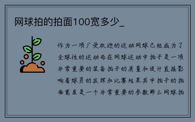 网球拍的拍面100宽多少_