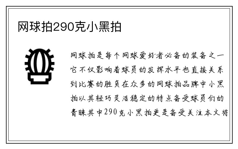 网球拍290克小黑拍